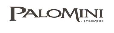 Shop Forest River palomini