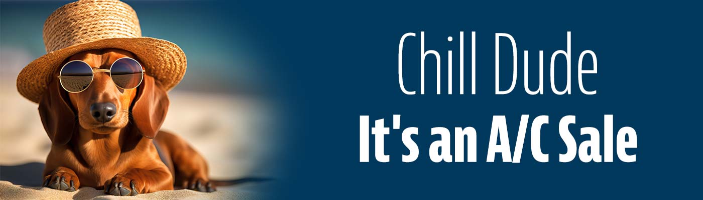 image of dog in sunglasses and hat with text: Chill dude, it is an ac sale.