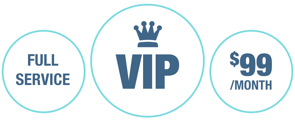 VIP RV storage logo