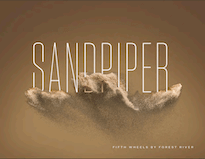 Sandpiper