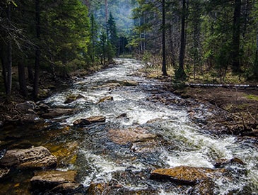 North Country Trail Association