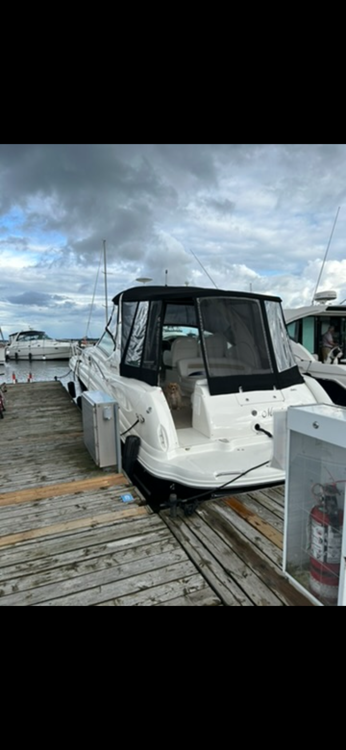 USED Sea Ray Sea Ray 340 Sundancer - Hutchinson's Boat Works