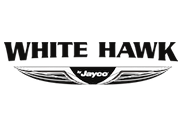 Shop White Hawk
