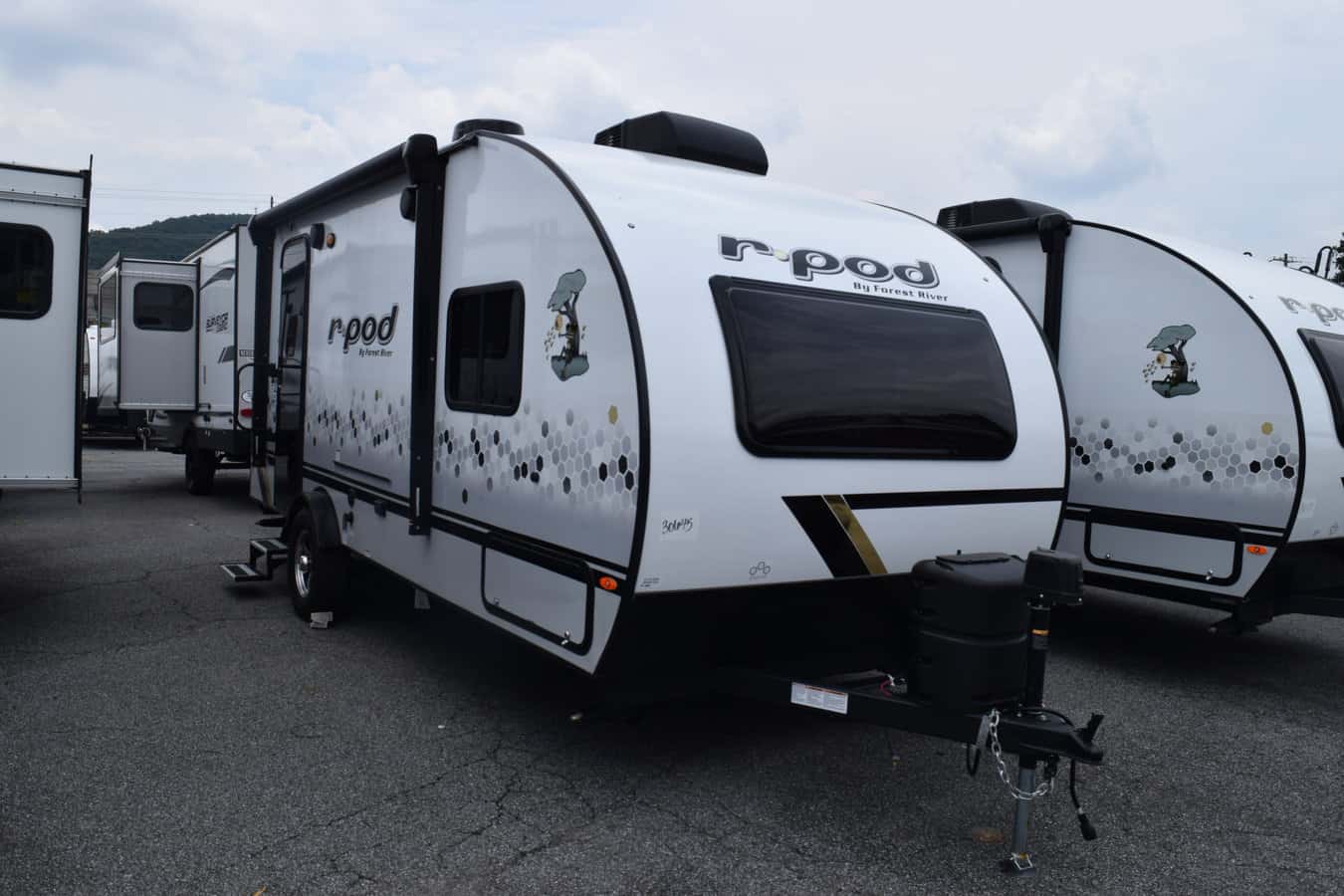 NEW 2022 Forest River R-POD RP-196