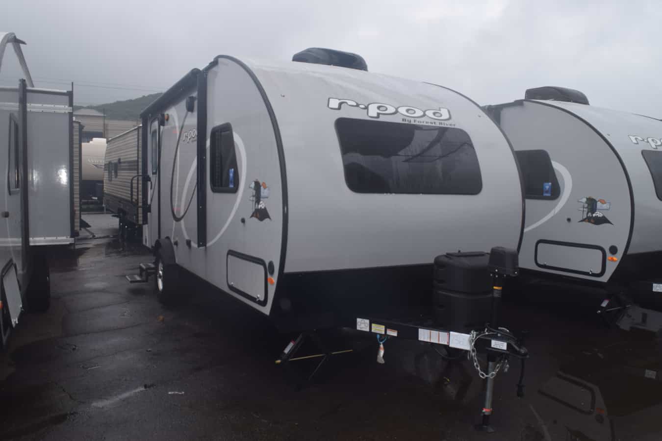 NEW 2020 Forest River R-POD RPT-195